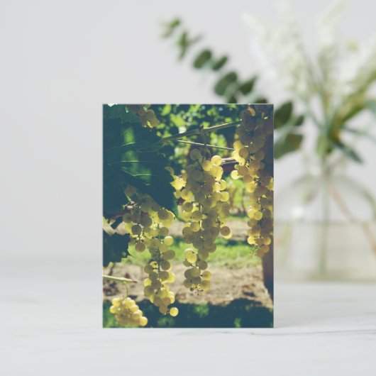  wijndruiven briefkaart (Staand voorkant)