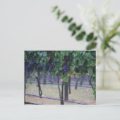 Wijndruiven Briefkaart (Staand voorkant)