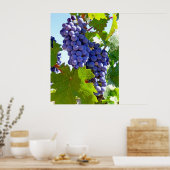 Wijndruiven Poster (Keuken)
