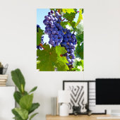 Wijndruiven Poster (Thuiskantoor)