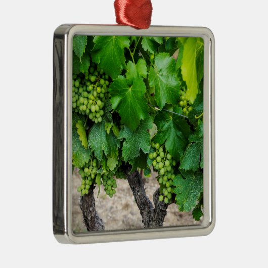 Wijndruiven telen, Frankrijk Metalen Ornament (Rechts)