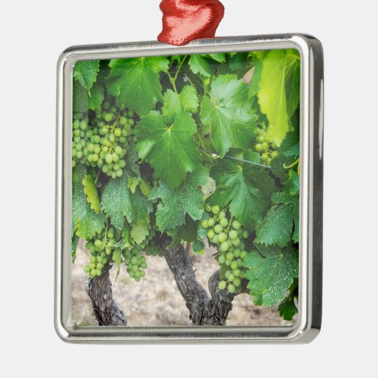 Wijndruiven telen, Frankrijk Metalen Ornament (Links)