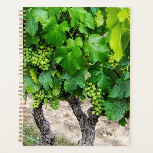 Wijndruiven telen, Frankrijk Planner (Voorkant)