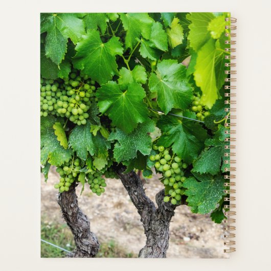 Wijndruiven telen, Frankrijk Planner (Achterkant)