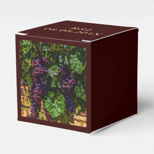 Wijndruiven van wijngaarden met wijnstok, zonnig bedankdoosjes (Voorkant Zijde)