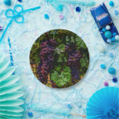 Wijndruiven van wijngaarden met wijnstok, zonnig papieren bordje (Feest)