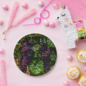 Wijndruiven van wijngaarden met wijnstok, zonnig papieren bordje (Feest)