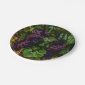 Wijndruiven van wijngaarden met wijnstok, zonnig papieren bordje (Gekanteld)