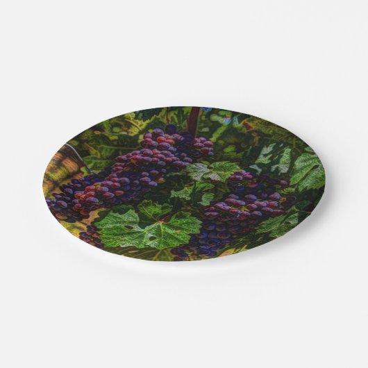 Wijndruiven van wijngaarden met wijnstok, zonnig papieren bordje (Gekanteld)