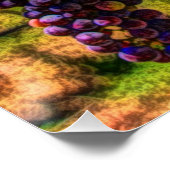 Wijndruiven van wijngaarden met wijnstok, zonnig perfect poster (Hoek)