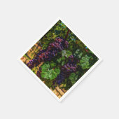 Wijndruiven van wijngaarden met wijnstok, zonnig servetten (Hoek)