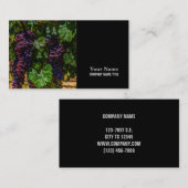 Wijndruiven van wijngaarden met wijnstok, zonnig visitekaartje (Voorkant / Achterkant)