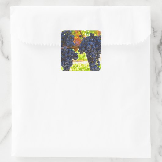 Wijndruiven Vierkante Sticker (Tas)