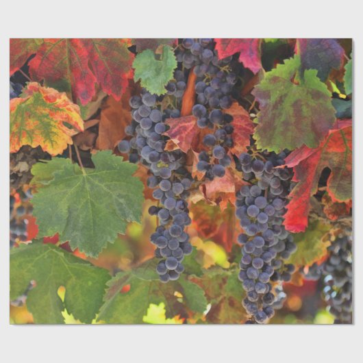 wijndruivensap voor wijnbouw cadeaupapier (Vlak)