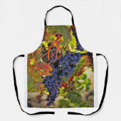 Wijndruiventeelt met valkleuren schort (Voorkant)