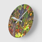 Wijndruiventeelt Ronde Klok (Hoek)