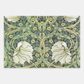 Wijnen, vogels, pimpernel William Morris Patronen Inpakpapier Vel (Voorkant)