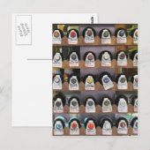 Wijnflessen Briefkaart (Voorkant / Achterkant)