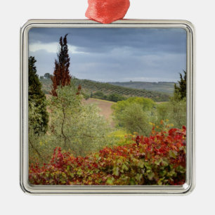 Wijngaard bij Montalcino, Toscane, Italië Metalen Ornament