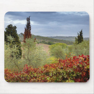 Wijngaard bij Montalcino, Toscane, Italië Muismat