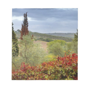 Wijngaard bij Montalcino, Toscane, Italië Notitieblok