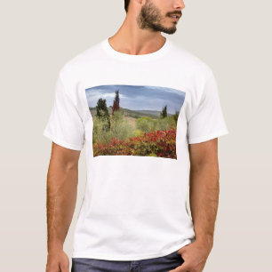 Wijngaard bij Montalcino, Toscane, Italië T-shirt