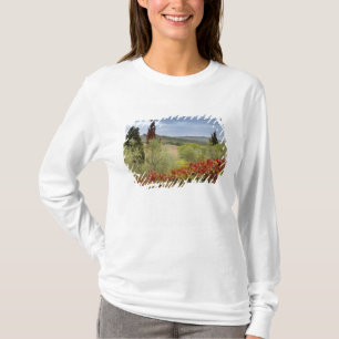 Wijngaard bij Montalcino, Toscane, Italië T-shirt