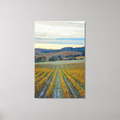 Wijngaard bij zonsondergang canvas afdruk (Voorkant)