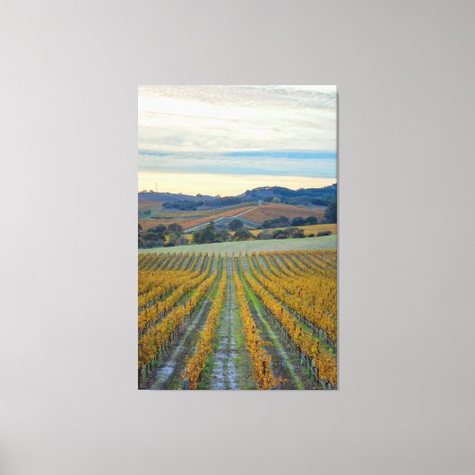 Wijngaard bij zonsondergang canvas afdruk (Voorkant)