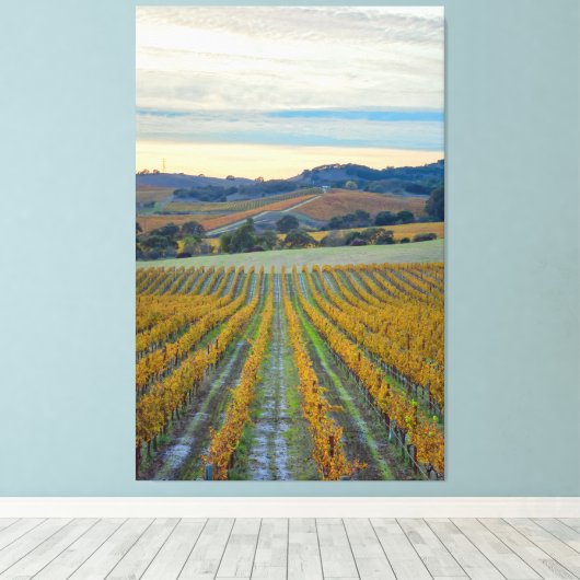 Wijngaard bij zonsondergang canvas afdruk (Insitu (Houten vloer))