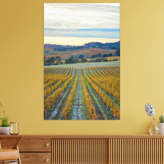 Wijngaard bij zonsondergang canvas afdruk (Insitu (Woonkamer))