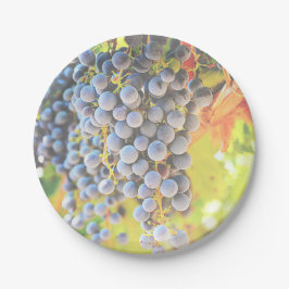 Wijngaard Druiven Papier Borden Papieren Bordje