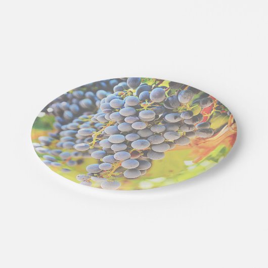 Wijngaard Druiven Papier Borden Papieren Bordje (Gekanteld)