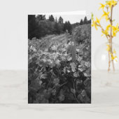 Wijngaard en Heuvels, de Wijngaard van de Kaart (Gele Bloem)