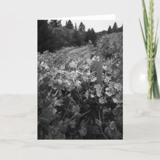 Wijngaard en Heuvels, de Wijngaard van de Kaart