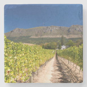 Wijngaard, Kaapstad, Westkaap, Zuid-Afrika 2 Stenen Onderzetter
