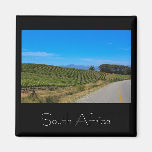 Wijngaard Landschap Zuid-Afrika SA Magneet (Voorkant)
