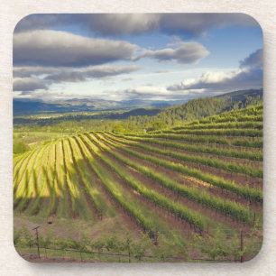 Wijngaard. Napa Valley. Napa. Napa County, Bier Onderzetter
