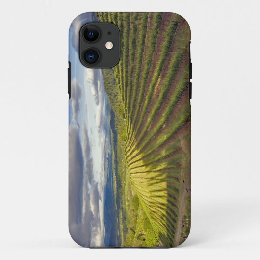 Wijngaard. Napa Valley. Napa. Napa County, Case-Mate iPhone Case (Achterkant)