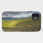 Wijngaard. Napa Valley. Napa. Napa County, Case-Mate iPhone Case (Achterkant (horizontaal))