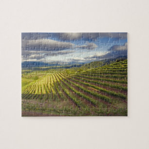 Wijngaard. Napa Valley. Napa. Napa County, Legpuzzel