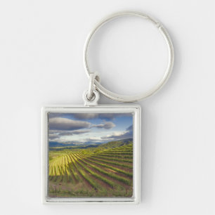 Wijngaard. Napa Valley. Napa. Napa County, Sleutelhanger