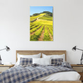 Wijngaard, Stellenbosch, Westkaap Canvas Afdruk (Insitu (Slaapkamer))