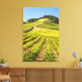 Wijngaard, Stellenbosch, Westkaap Canvas Afdruk (Insitu (Woonkamer))