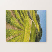 Wijngaard, Stellenbosch, Westkaap Legpuzzel (Horizontaal)