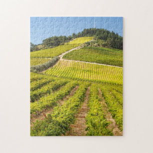 Wijngaard, Stellenbosch, Westkaap Legpuzzel