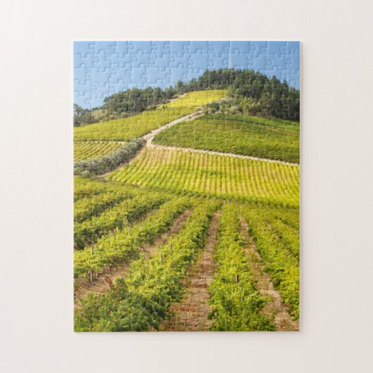 Wijngaard, Stellenbosch, Westkaap Legpuzzel (Verticaal)