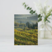 Wijngaard, Toscane, Italië Briefkaart (Staand voorkant)