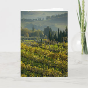 Wijngaard, Toscane, Italië Kaart