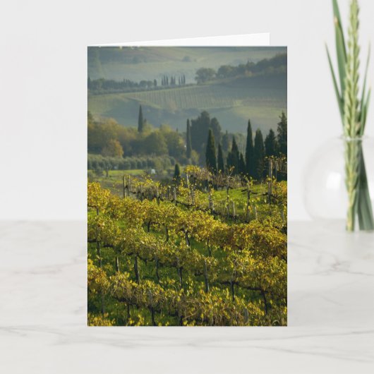 Wijngaard, Toscane, Italië Kaart (Voorkant)